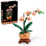 MINI ORCHIDEA