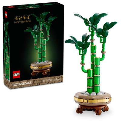 BAMBU' DEL BUON AUSPICIO