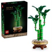 BAMBU' DEL BUON AUSPICIO