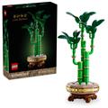 BAMBU' DEL BUON AUSPICIO