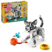 GATTO GIOCOSO