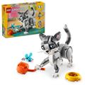 GATTO GIOCOSO