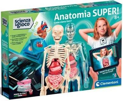 ANATOMIA