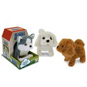 CANE ABBAIA E CAMMINA