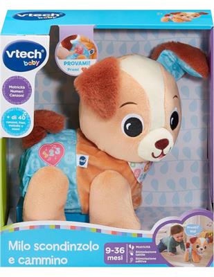 MILO SCODINZOLO E CAMMINO