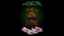 ALBERO BONSAI